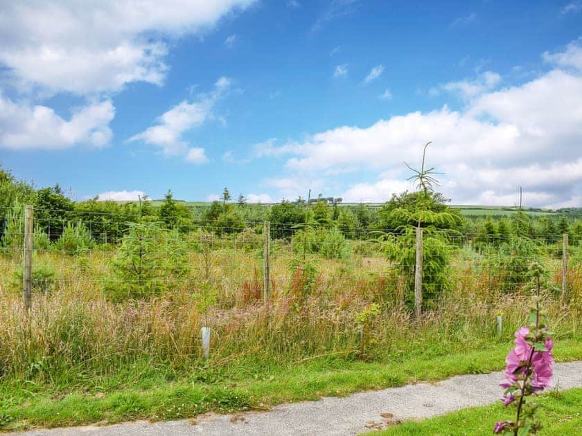 Surrounding area | The Shed, Woolsery, near Hartland- Bideford