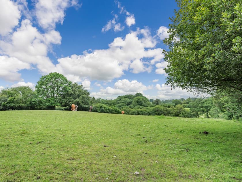 Surrounding area | Llanfair Hill Cottage, Gorsgoch