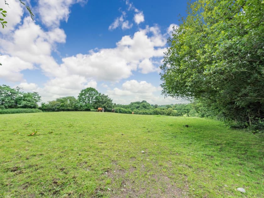 Surrounding area | Llanfair Hill Cottage, Gorsgoch