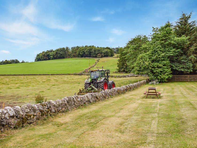 View | Southview Cottage, Cupar