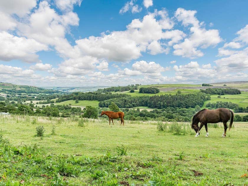 Surrounding area | The Stables, Stanhope