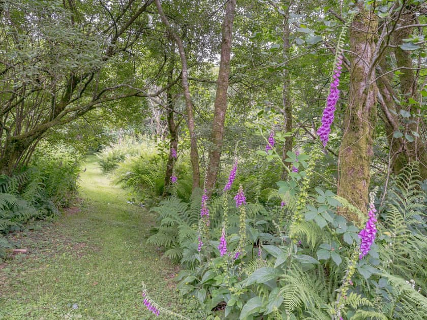 Garden and grounds | The Milking Parlour, Saron, near Llandysul