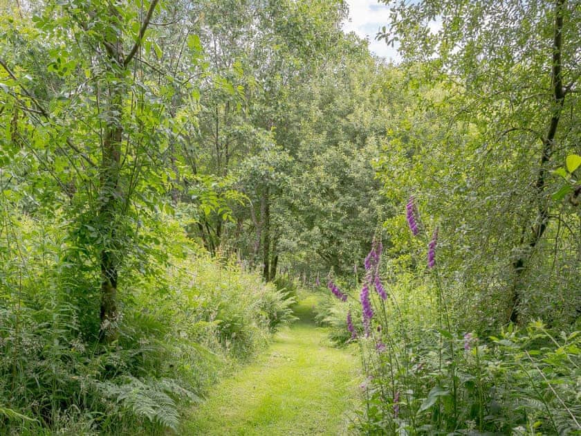 Garden and grounds | The Milking Parlour, Saron, near Llandysul