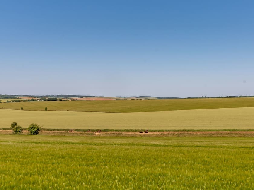 View | Ilsley Farm Barns- The Downs - Ilsley Farm Barns, East Ilsley, near Newbury