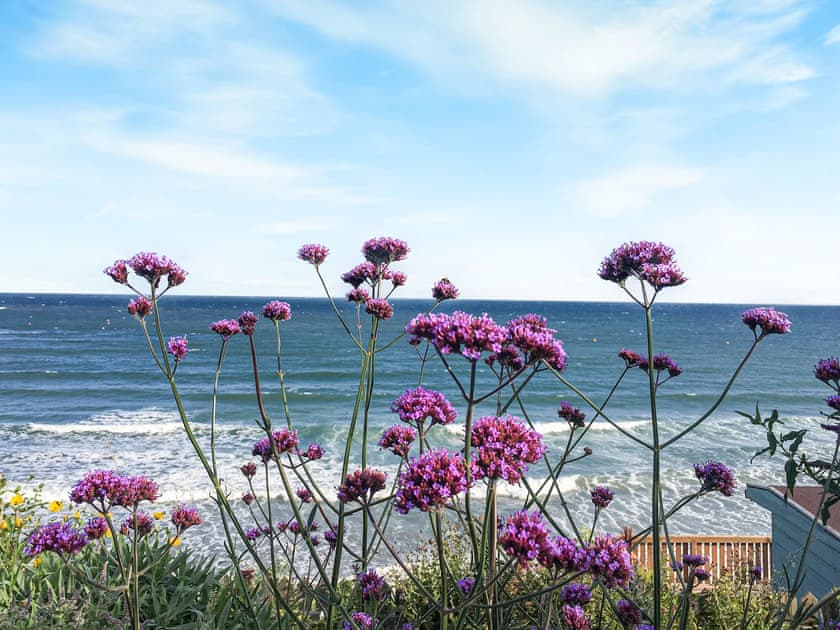 Surrounding area | Heddfan, Nefyn, Llyn Peninsula