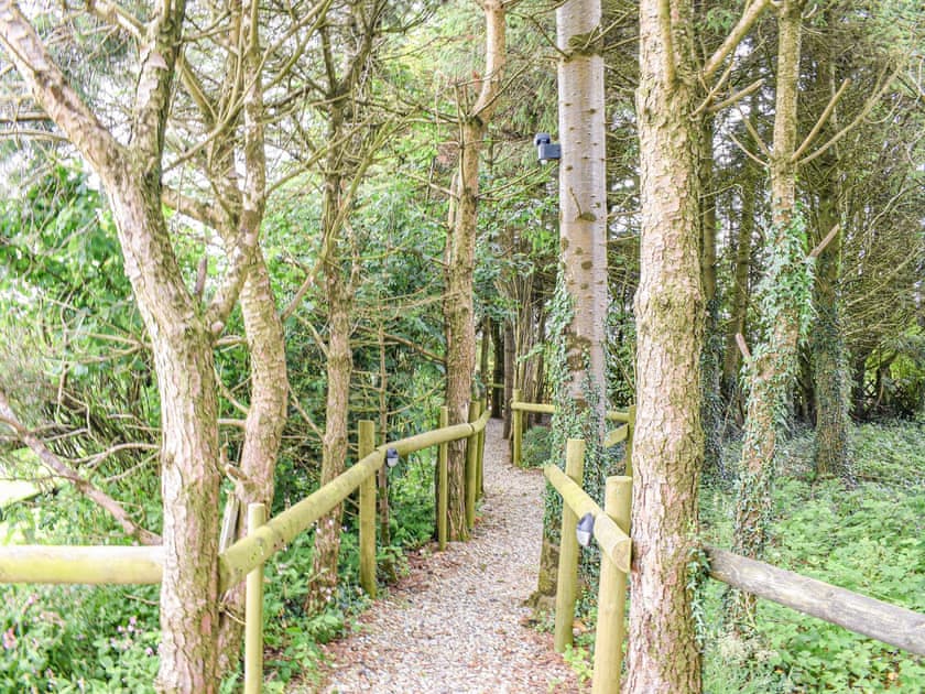 Surrounding area | Little Fern, Sourton Down, near Okehampton