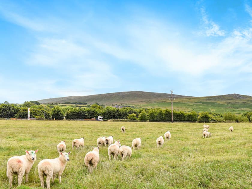 Surrounding area | Little Fern, Sourton Down, near Okehampton