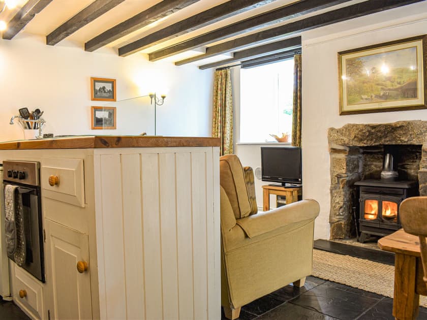 Living area | Honey Cottage, Tavistock