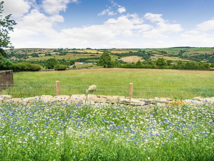 Garden | Ivylea Barn, Glaisdale