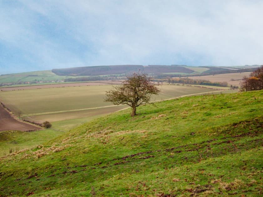 Surrounded by beautiful countryside | The Old Post Office, Thorpe Bassett, near Malton