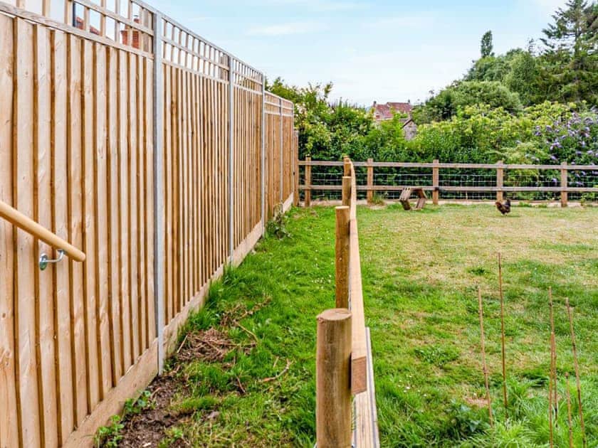 Garden and grounds | Fig Tree Shepherd’s Hut, Bridport