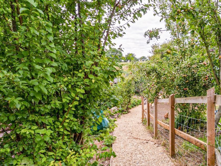 Garden and grounds | Fig Tree Shepherd’s Hut, Bridport