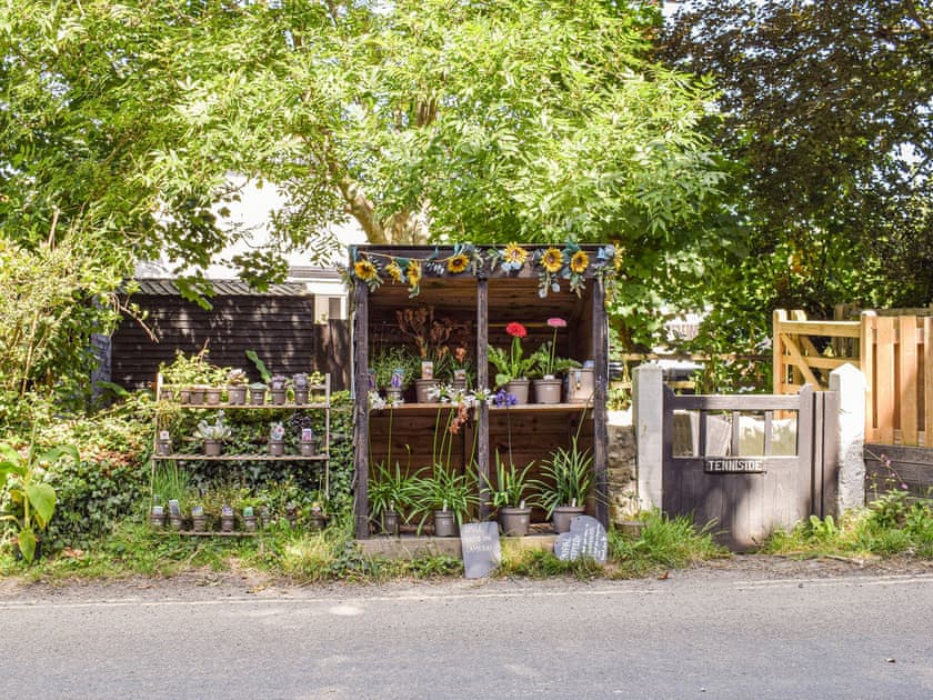 Surrounding area | The Annex at Tenniside, Perranporth