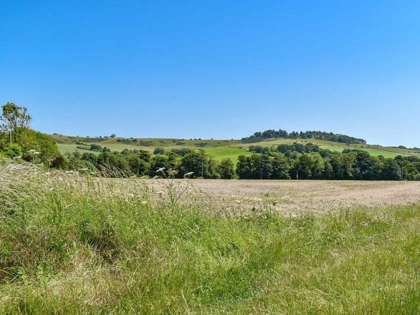 Surrounding area | Whitey Top Country Lodge - Whitey Top Lodges, Pentridge