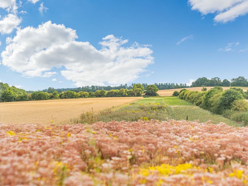 View | Lovington Barn, Alresford