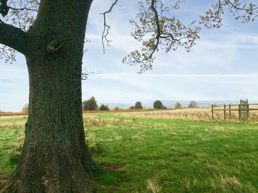 Westhope Common | Star Yard, Tenbury Wells