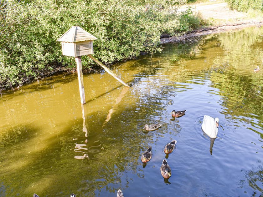 Garden and grounds | Dragonfly Cottage - Ballavolley Cottages, Ballaugh