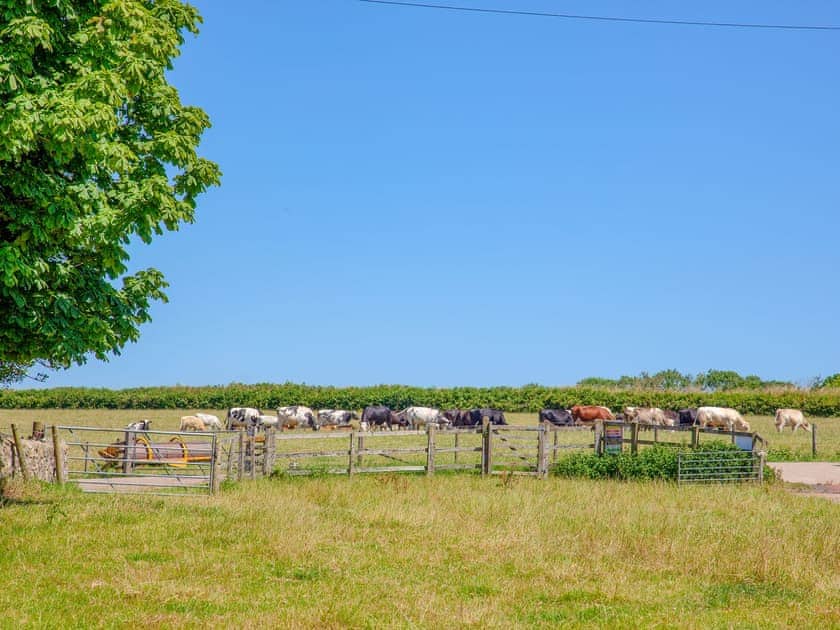 Surrounding area | Piglet Cottage - Old Highwood, Dunkeswell