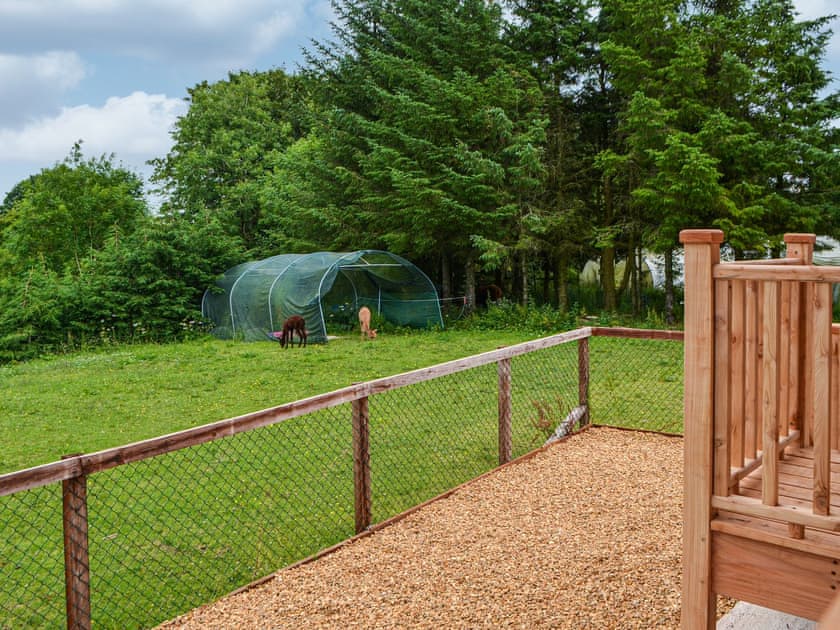 Garden and grounds | The Alpaca Lodge, Rowrah, near Cockermouth
