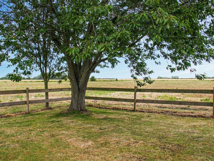 Garden | Willows Barn, Terrington St Clements, near King’s Lynn