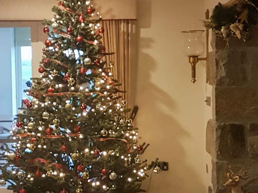Christmas at Bodrydd | Bodrydd - Bodrydd, Rhoshirwaun, near Pwllheli