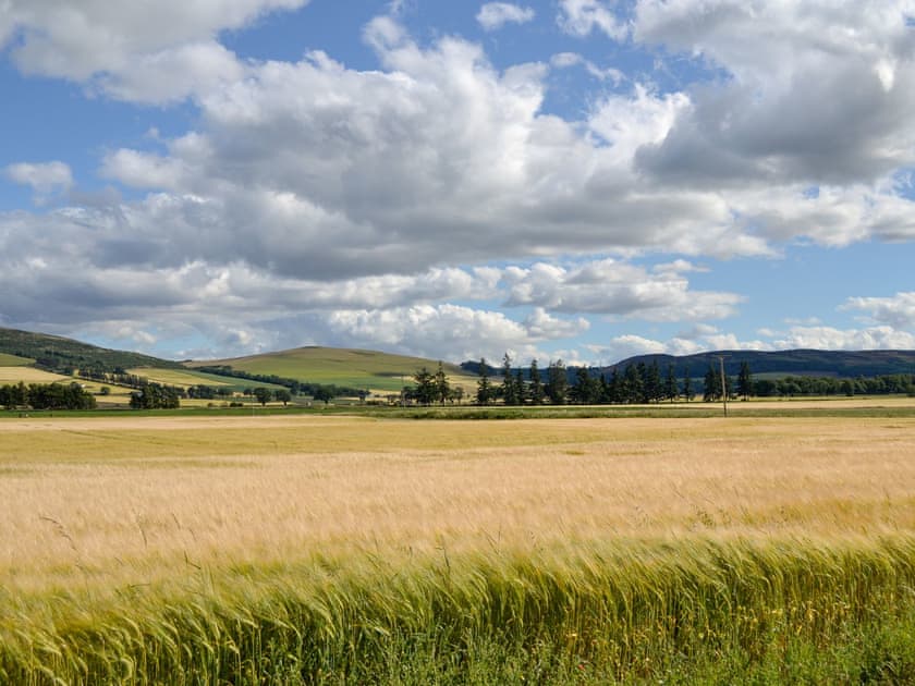 Surrounding area | Myreside Cottage, Meigle