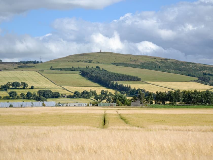 Kinpurney Hill with Kinpurney Tower on top - a local landmark seen from the cottage | Myreside Cottage, Meigle