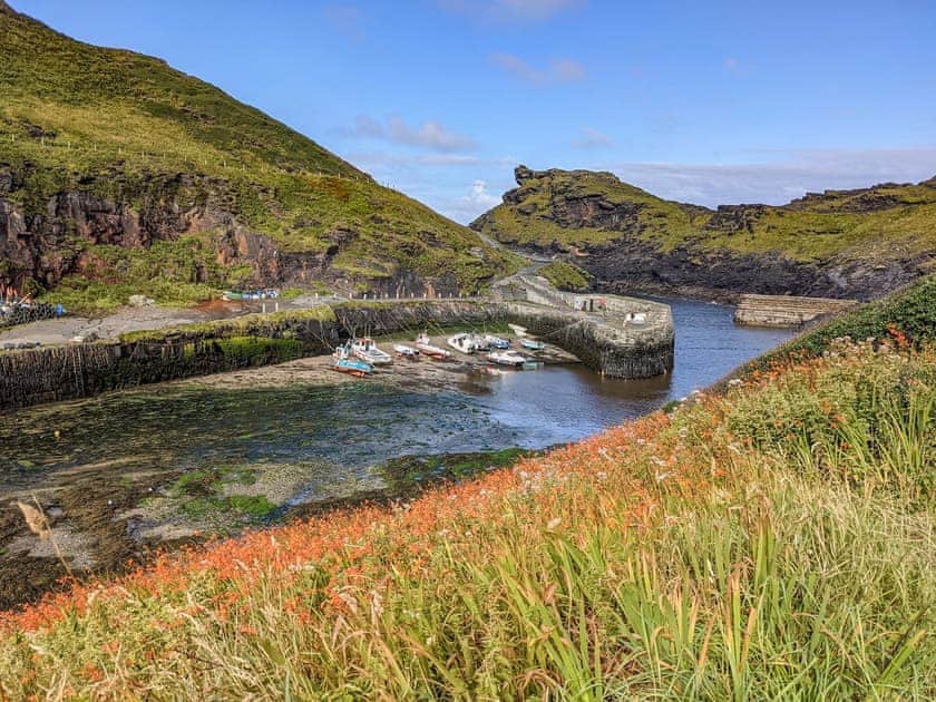 Surrounding area | Trevivian House, Boscastle