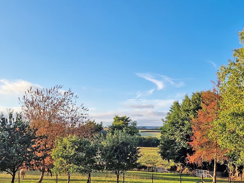 View | Rackenford, Knowstone - Secret Skies, Knowstone