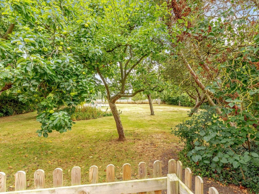Garden | The Croft - Retford Retreats, Laneham, near Lincoln