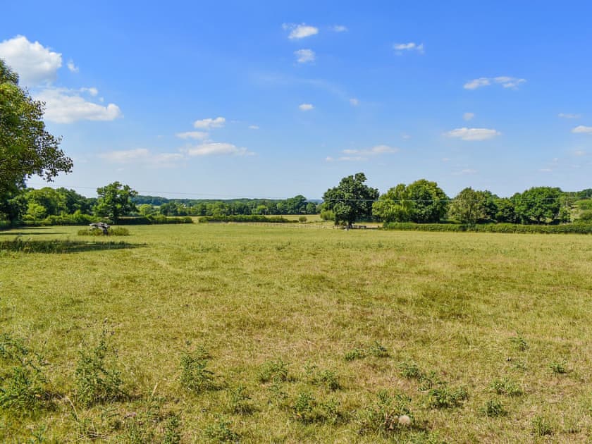 Surrounding area | Foxglove, Ibberton, Blandford Forum