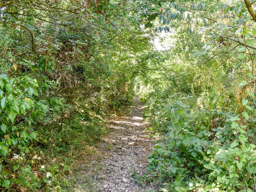 Surrounding area | Foxglove, Ibberton, Blandford Forum