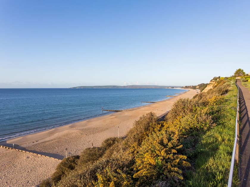 Surrounding area | Ospreys, Bournemouth