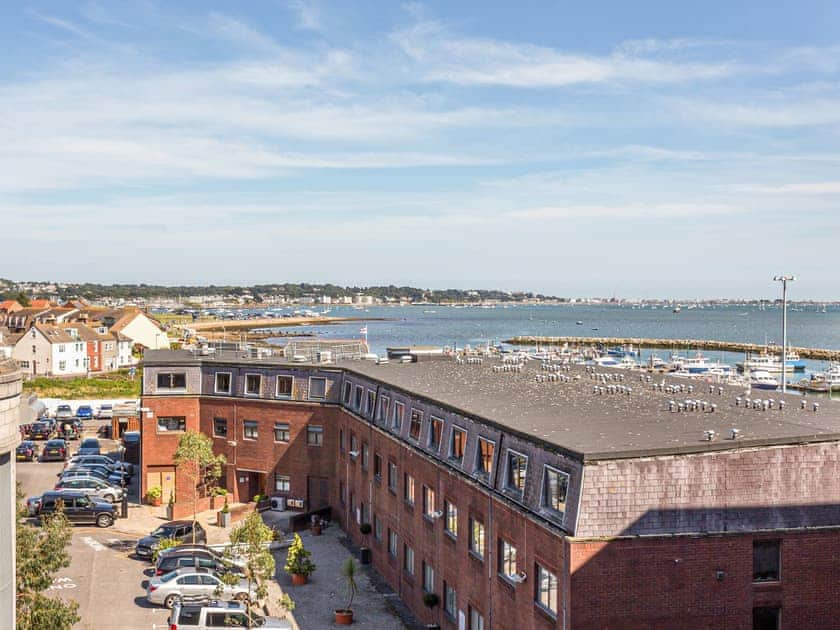 View | Poppies, Poole