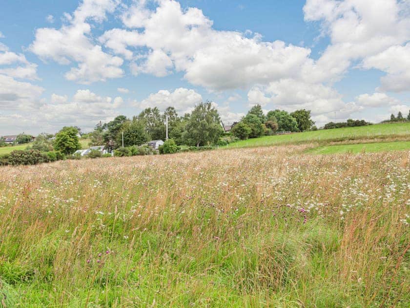 Surrounding area | Woodside Hut 2 - Woodside Croft, Strathpeffer
