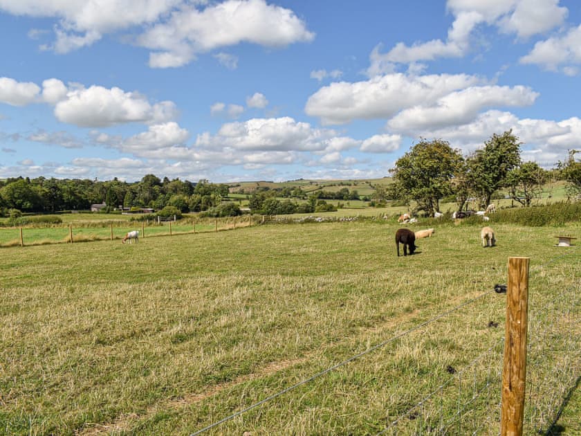 Surrounding area | Forget-Me-Not - Meadows Huts, Parwich, near Ashbourne