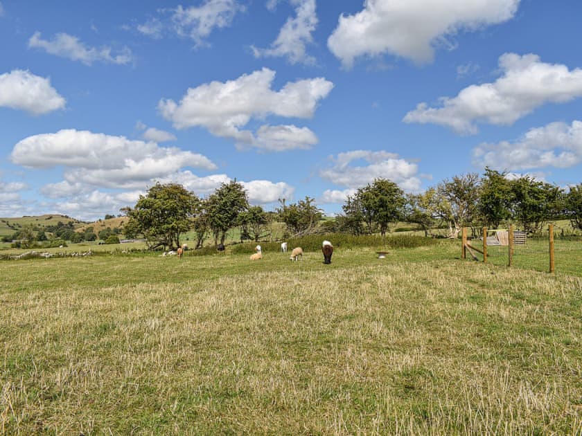 Surrounding area | Forget-Me-Not - Meadows Huts, Parwich, near Ashbourne