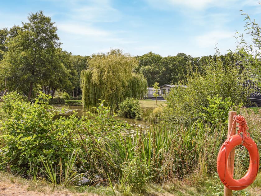 Garden and grounds | Deer Glade Lodge, Landford, near New Forest