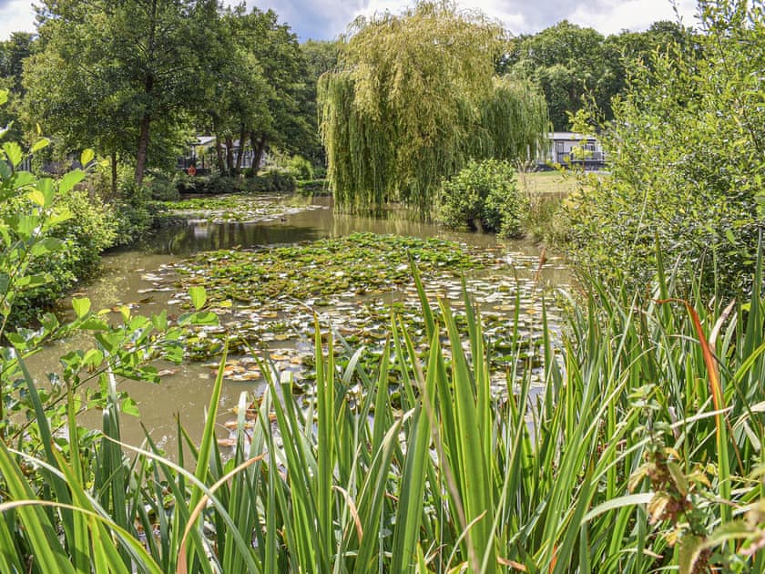 Garden and grounds | Deer Glade Lodge, Landford, near New Forest