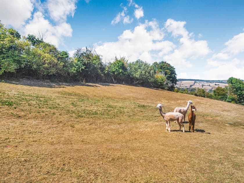 Surrounding area | New Barn Reservoir, Shaldon, near Teignmouth