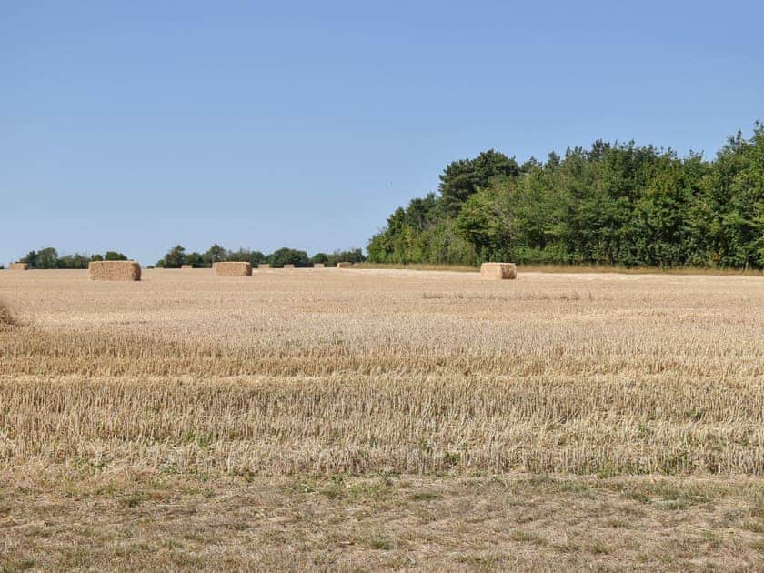 Surrounding area | Silver Birch, English Oak - Woodland Cottages, Halstead