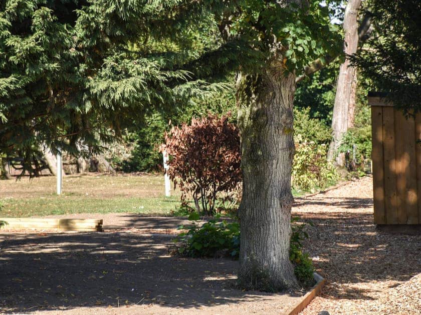 Garden and grounds | English Oak, Silver Birch - Woodland Cottages, Halstead