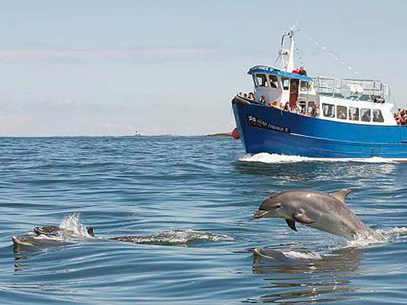 Local attraction | Seahouses Cottage, North Sunderland Seahouses