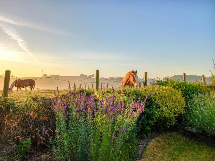Garden | Beam Cottage, Flamborough