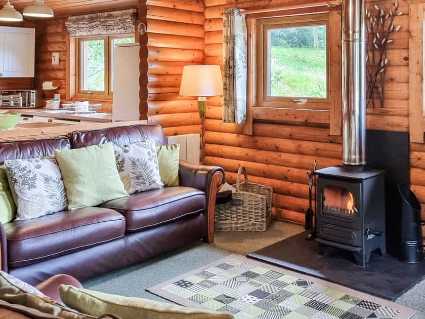Lounge area - with window views | Sunnybank Lodge, Llanfynydd