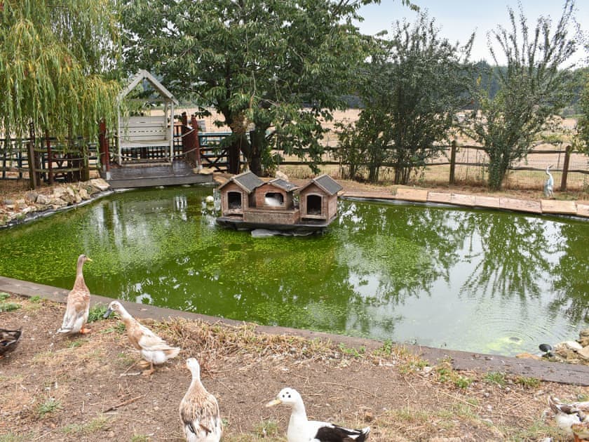 Setting | South Wing Coldharbour Park Farm, Liss
