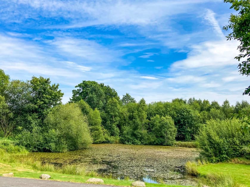 View of lake | Lakeside Lodge, near Rhayader