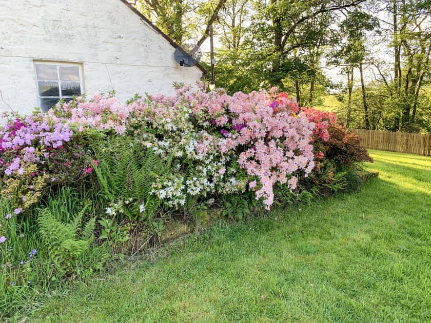 Garden | Milnhead Cottage, Dumfries