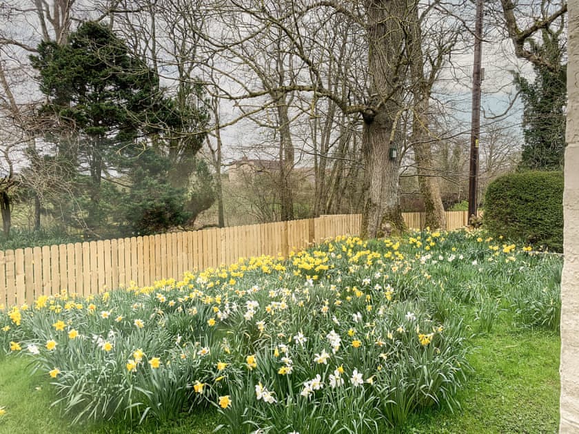 Garden | Milnhead Cottage, Dumfries
