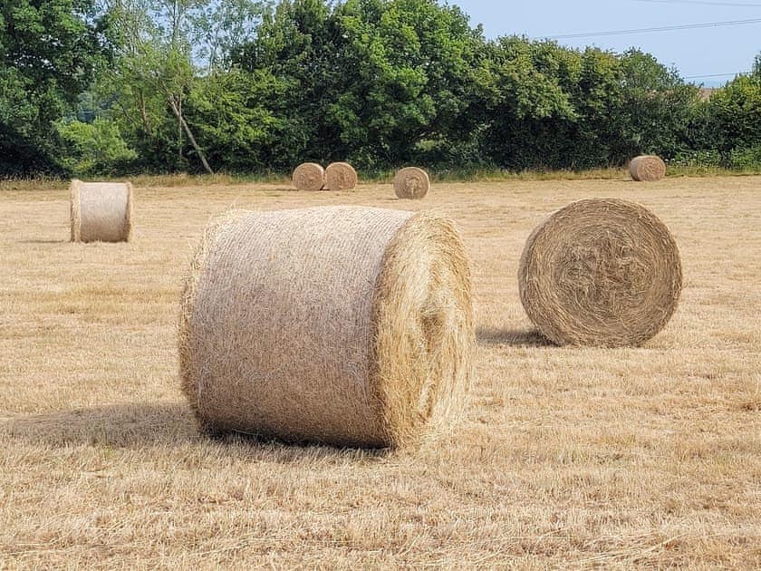Surrounding area | Lakeview Lodge, Hayfield Haven - Hillcroft Farm Pods, Crowhurst